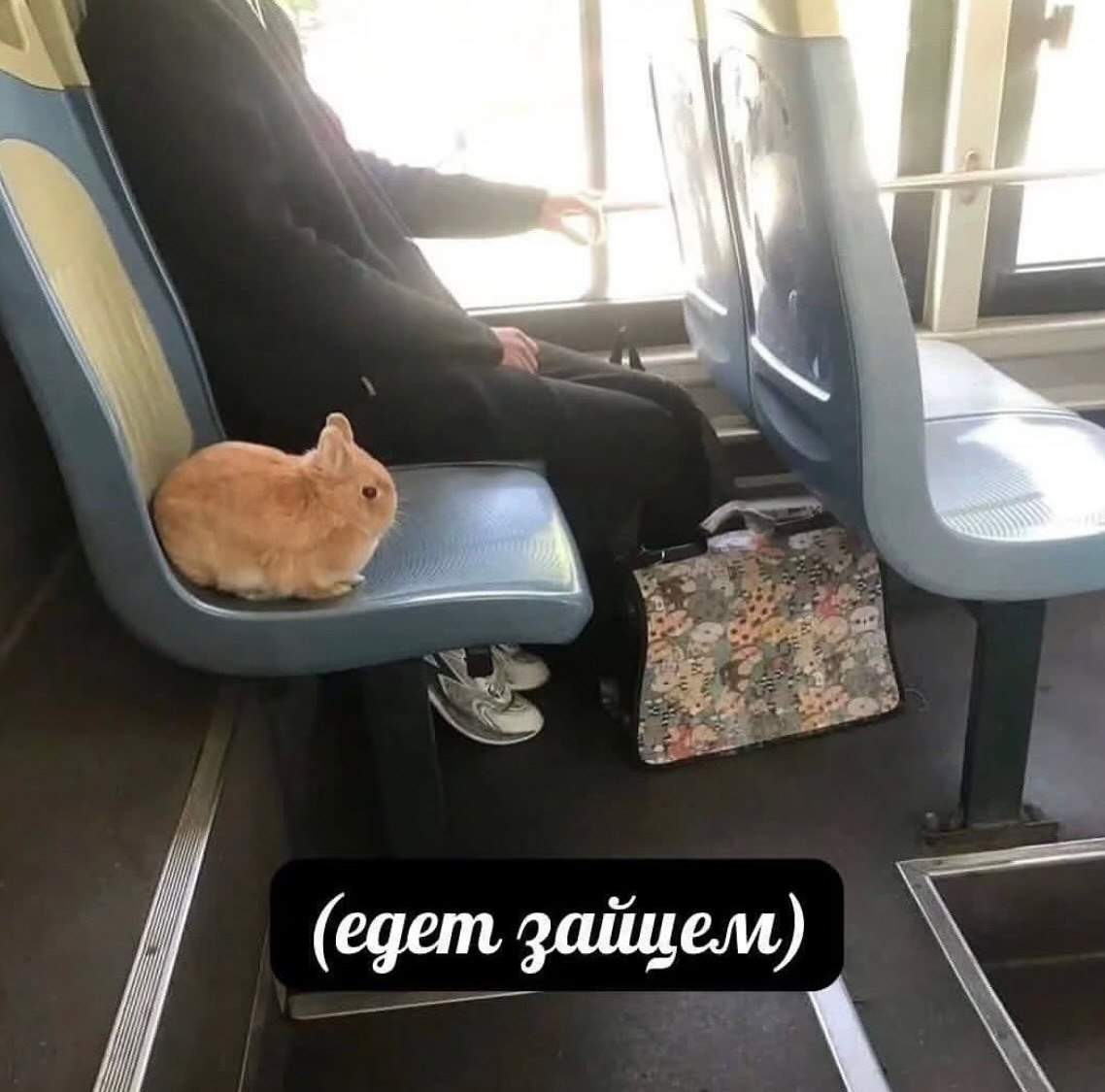 i (едет зайцем)