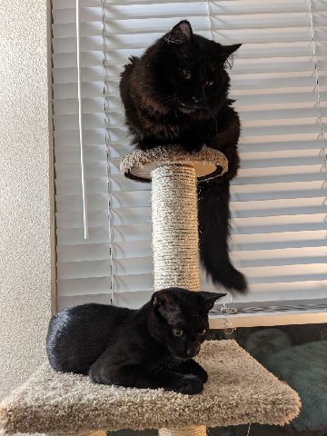 a rare moment of tranquility ft. Arthur and Francis