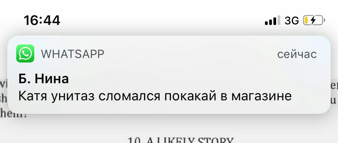 16:44 WHATSAPP сейчас Б. Нина Катя унитаз сломался покакай в магазине