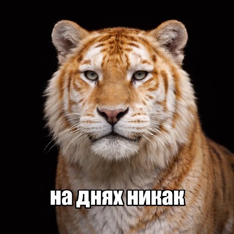a днях никак