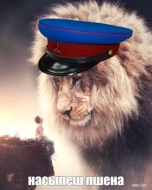 пшена