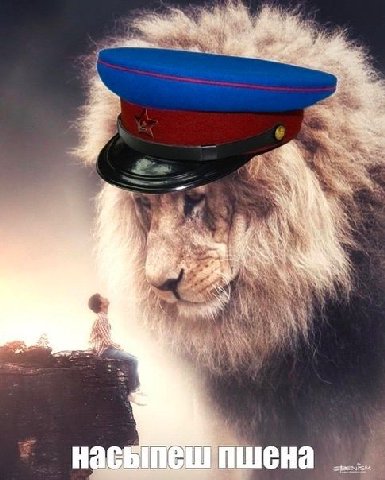 пшена