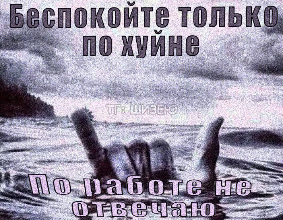 покойте толь 83 ПО KVAR 44 3 $4 wot 5 a SEs ‘Aes