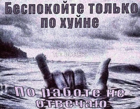 покойте толь 83 ПО KVAR 44 3 $4 wot 5 a SEs ‘Aes