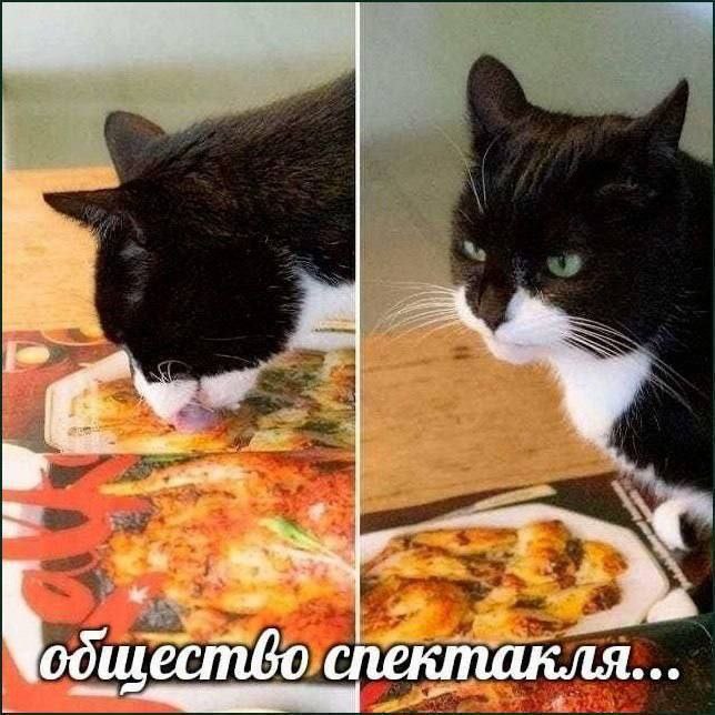 обшество спектакля