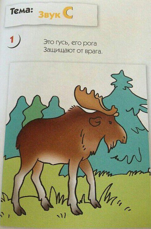Тема: Это гусь, его рога Защищают от врага.