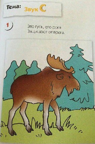 Тема: Это гусь, его рога Защищают от врага.