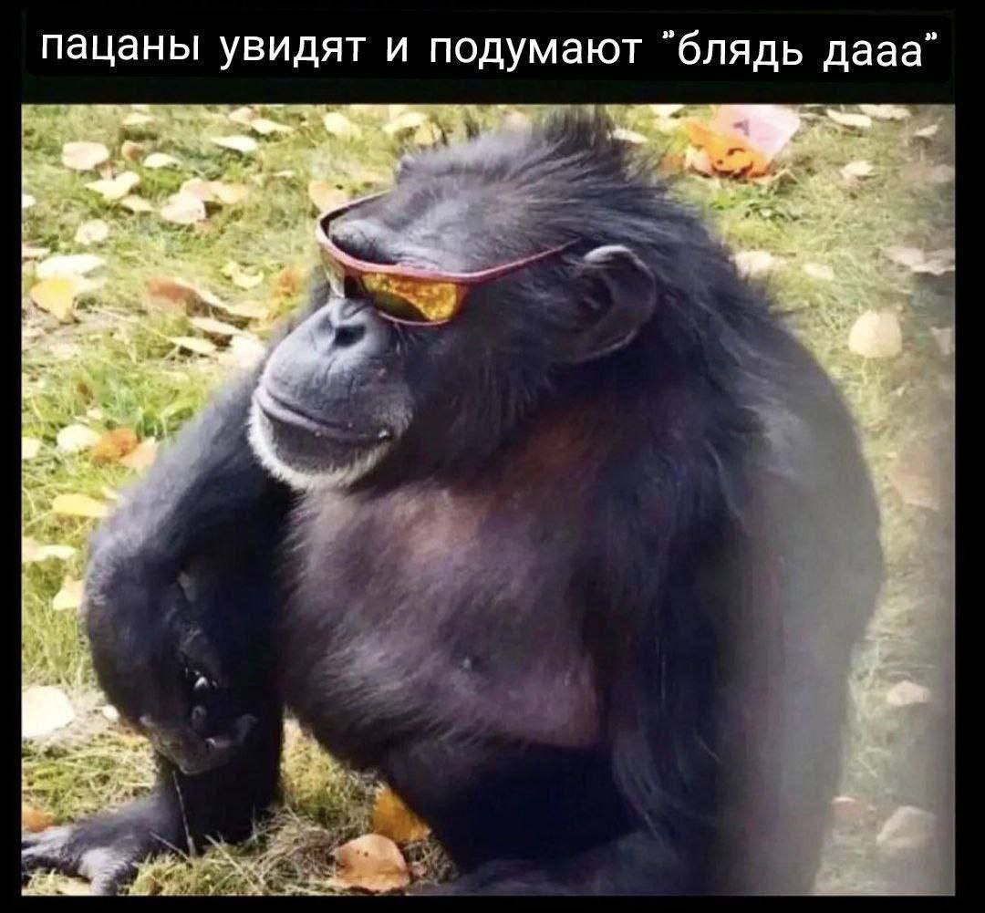 👤 empörung