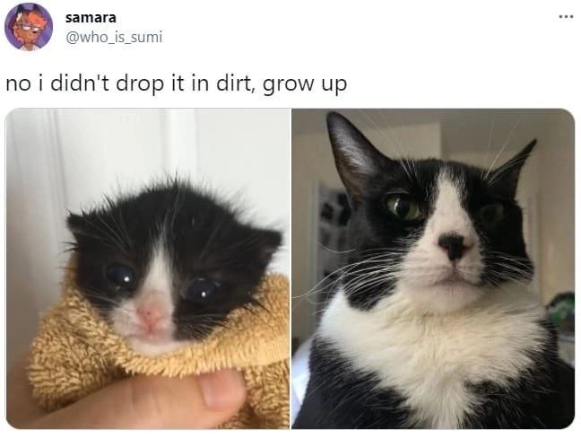 samara @who_is_sumi no i didn't drop it in dirt, grow up
