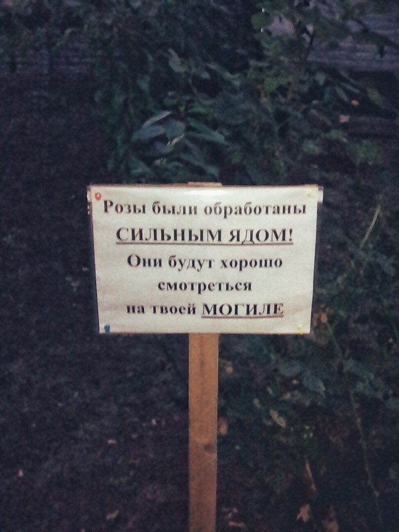 В были обработаны сильным ядом! Они будут хорошо смотреться на твоей МОГИЛЕ