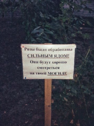 В были обработаны сильным ядом! Они будут хорошо смотреться на твоей МОГИЛЕ