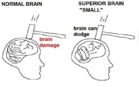 NORMAL BRAIN SUPERIOR BRAIN [1 brain damage