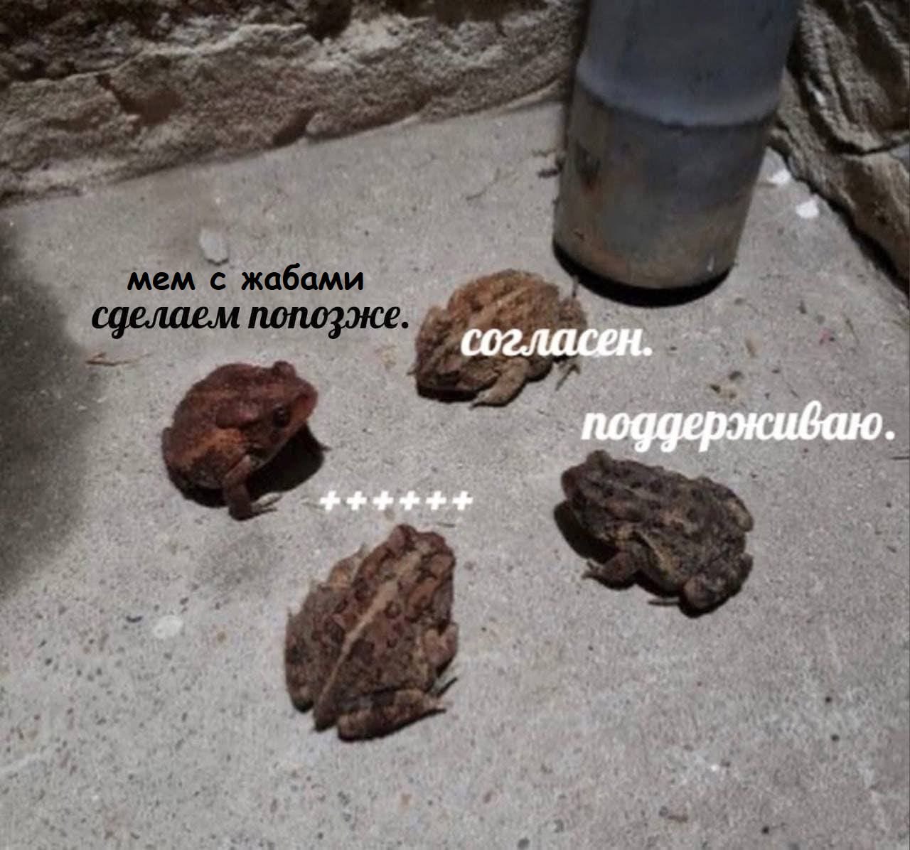 Именно так средовый дедлайн и был проебан, мои чюваки