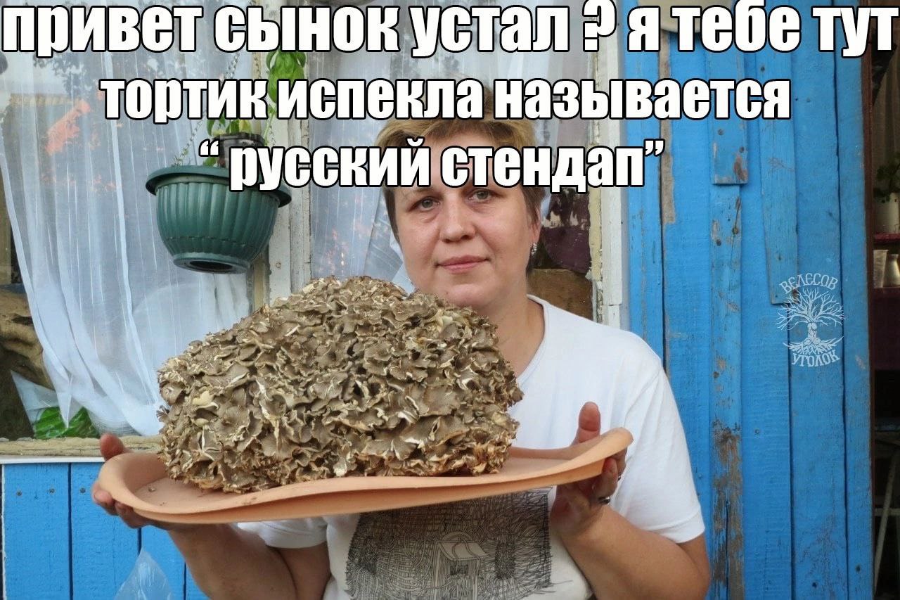 устал тебе тут привет сынок кла называется тортик испе русский стендап” у 4