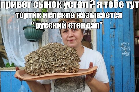 устал тебе тут привет сынок кла называется тортик испе русский стендап” у 4