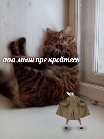 ааа пре кройтесь