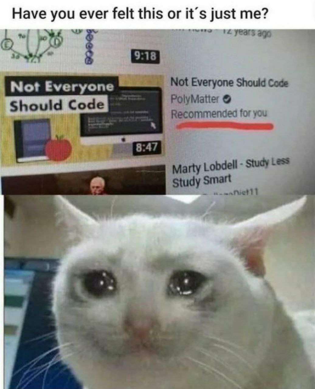 Have you ever felt this or it’s just me? Not Everyone Should Code Not Everyone Should Code PolyMatter Recommended for you 8:47 Marty Lobdell Study Less