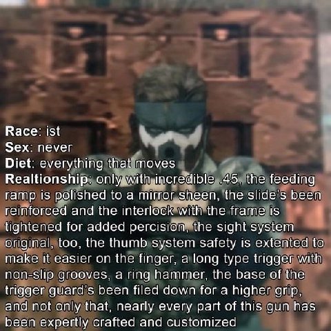 Race: ist я Sex: never Diet: everything that moves Realtionship: .45, the feeding ramp is polished to a mirror_sheen, the slide’s been reinforced and the interlock With the frame is tightened for adde