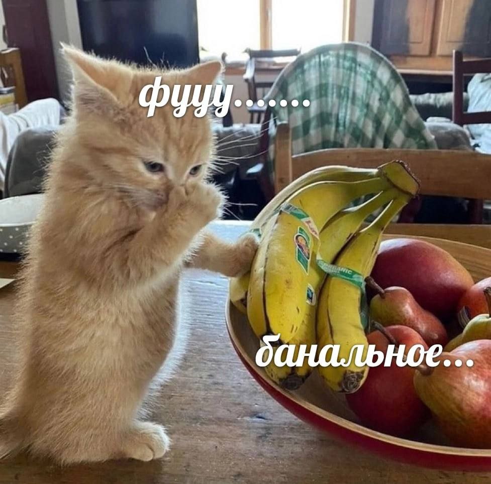 У 00 i 4