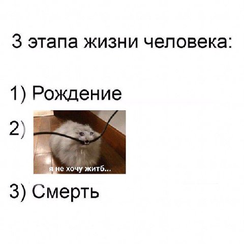 3 этапа жизни человека: 1) Рождение хочу житб... 3) Смерть