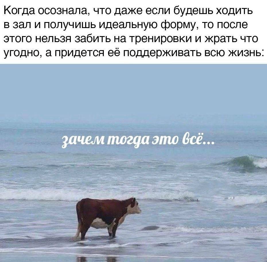 Когда осознала, что даже если будешь ходить в зал и получишь идеальную форму, то после этого нельзя забить на тренировки и жрать что угодно, а придется её поддерживать всю жизнь: зачем тогда это все..