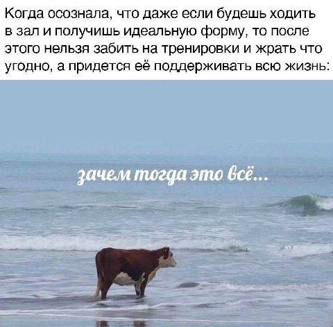 Когда осознала, что даже если будешь ходить в зал и получишь идеальную форму, то после этого нельзя забить на тренировки и жрать что угодно, а придется её поддерживать всю жизнь: зачем тогда это все..