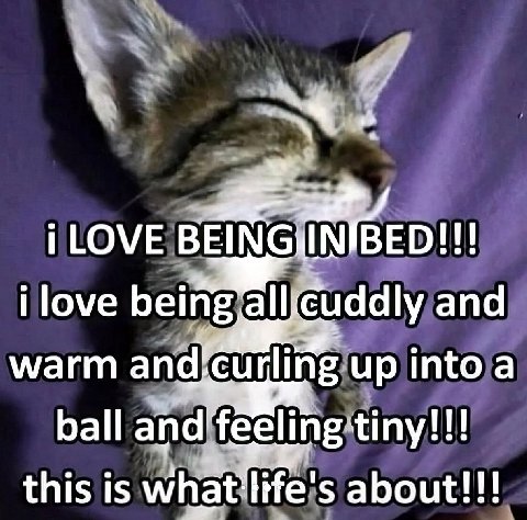 i LOVE ВЕМСИМВЕО!!! i love cuddly and warm up into a ball and'feeling tiny!!! this is about!!!
