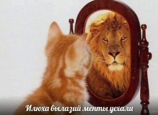 ‘Ns 'Илюха ie,