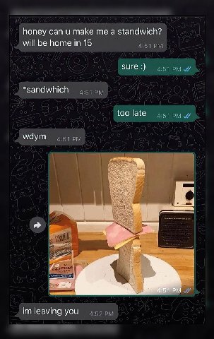 honey can и make а standwich? will be home in 15 4:51 sure 4:51 *sandwhich 4:51 too late 4:51 wdym 4:51 leaving you 4:52
