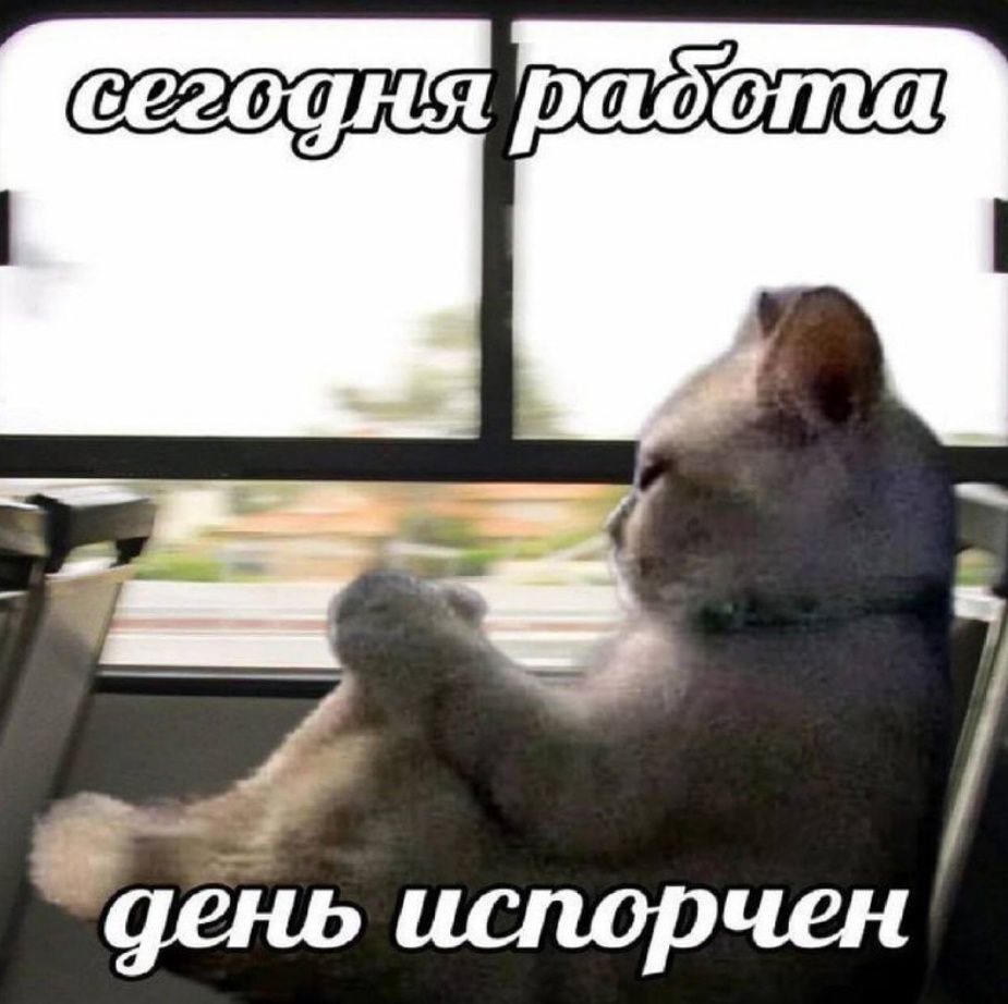 день испорчен