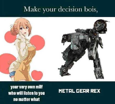 Make your decision bois, your very milf who will listen to you METAL GEAR REX no matter what