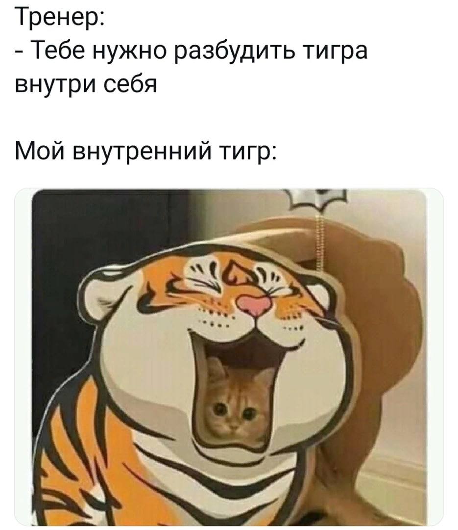 Тренер: Тебе нужно разбудить тигра внутри себя Мой внутренний тигр: