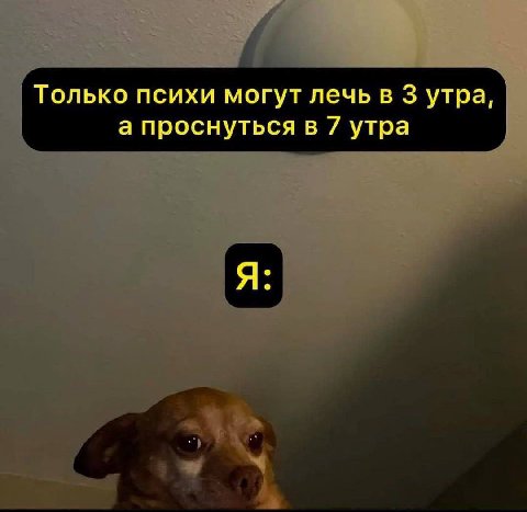 Только психи могут лечь в 3 утра, а проснуться в 7 утра Я