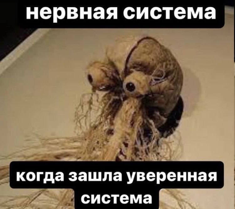 нервная система когда зашла уверенная система