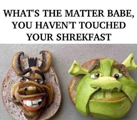WHAT'S THE MATTER BABE, YOU HAVEN'T TOUCHED YOUR SHREKFAST К а