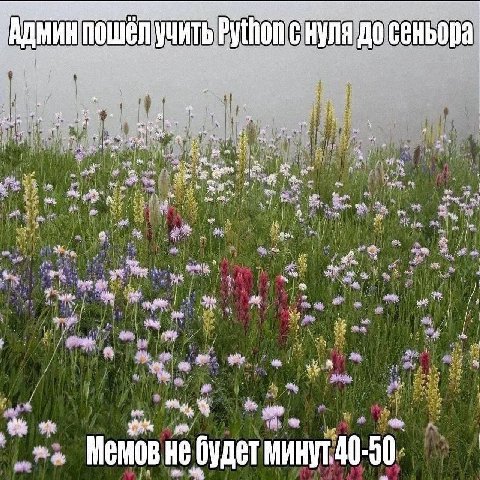 an on i МИН пошел ЧИТ у on i нуля до сеньора He ait «Я a a я Memos He будет МИНУТ