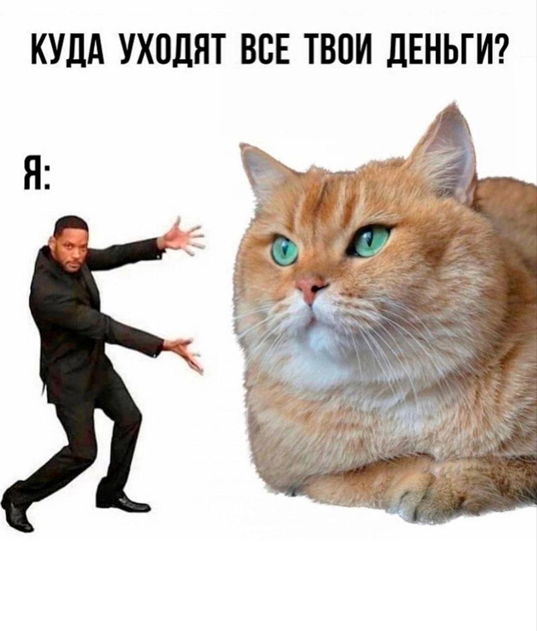 КУДА УХОДЯТ ВСЕ ТВОИ ДЕНЬГИ? 42