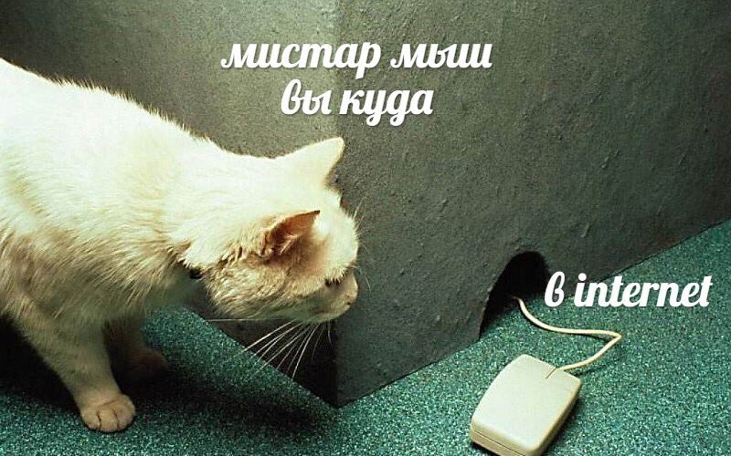 мистар вы куда 7, 5 internet