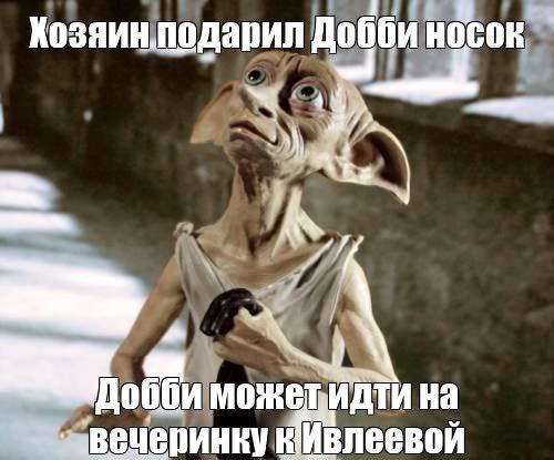 Добби носок дарил aN Добби на