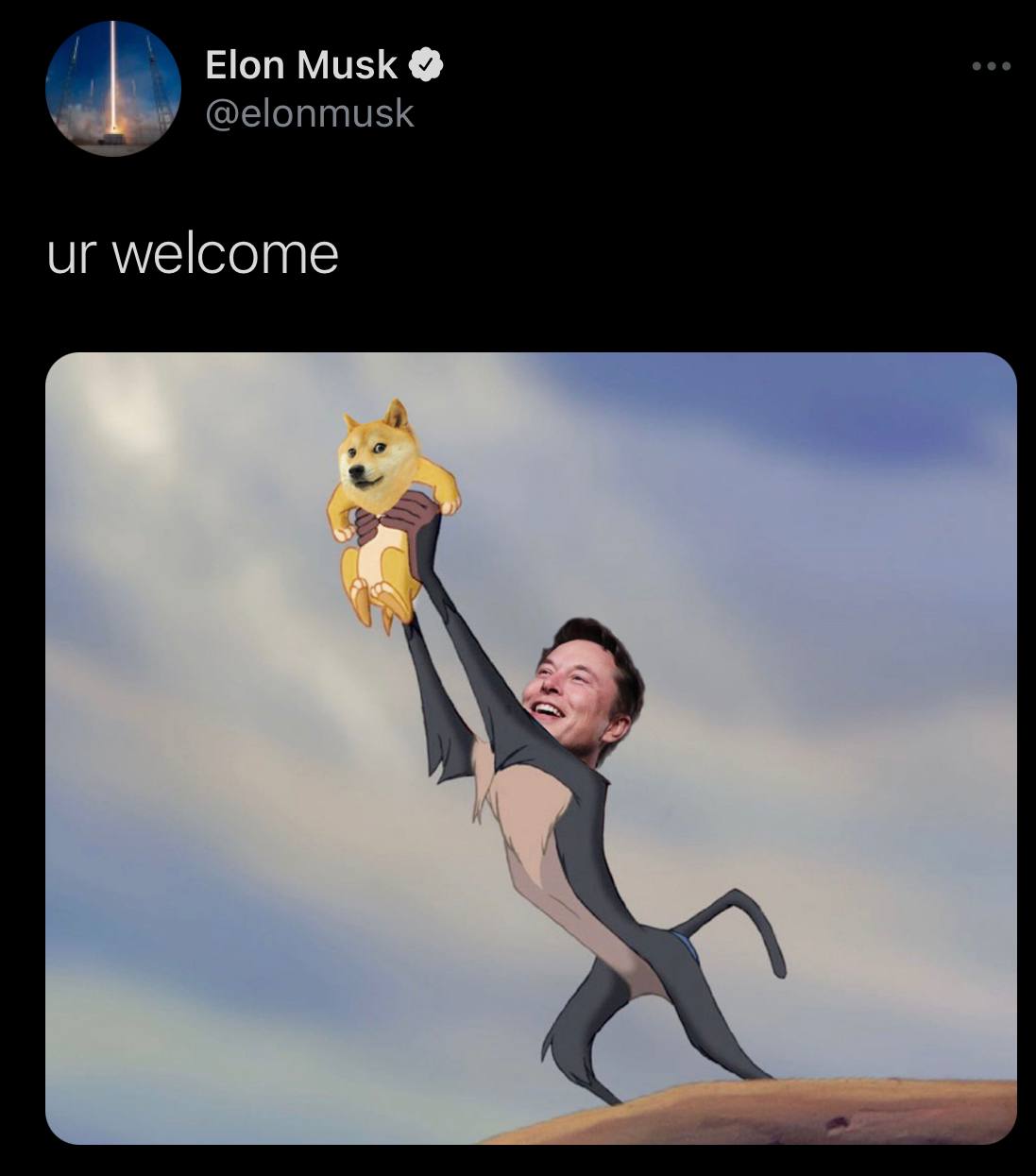 Elon Musk welcome