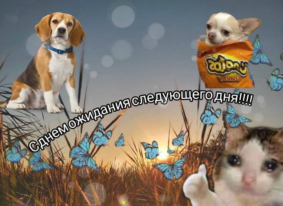 следующего