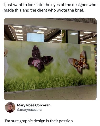 just want to look into the eyes of the designer who made this and the client who wrote the brief. Mary Rose Corcoran @maryrosecorc sure graphic design is their passion.
