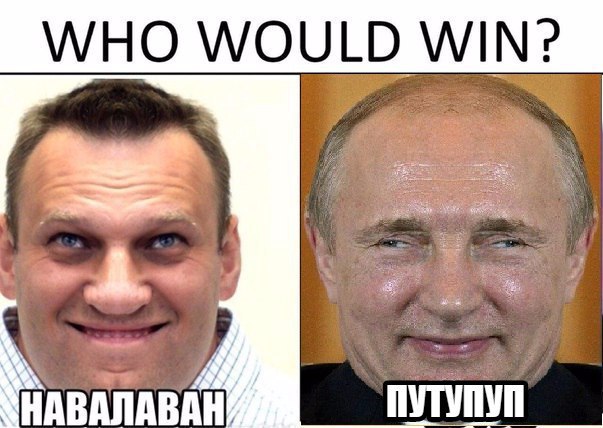 WHO WOULD WIN? АВАЛАВАН