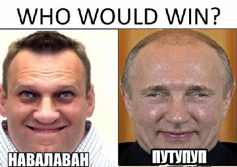 WHO WOULD WIN? АВАЛАВАН