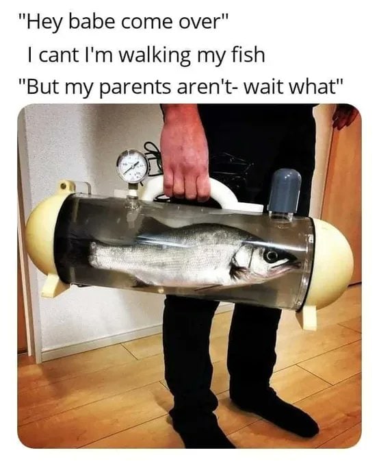 "Hey babe come over" cant walking my fish "But aren't- wait what" on