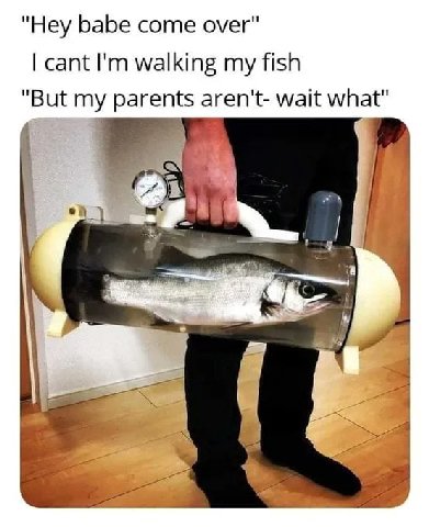 "Hey babe come over" cant walking my fish "But aren't- wait what" on
