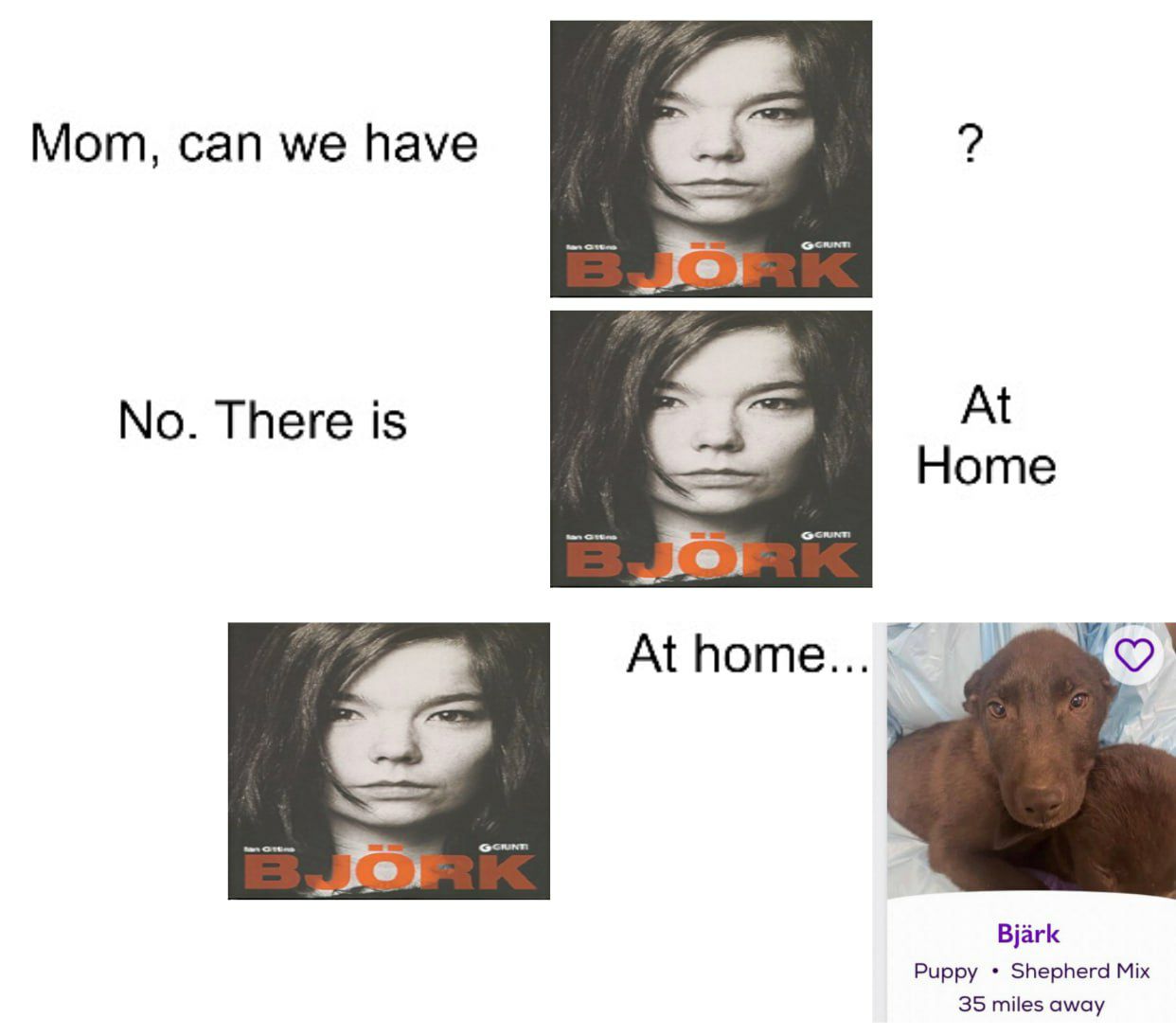Мот, can we have At No. There is Home At Bjark Puppy Shepherd Mix 35 miles away