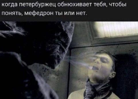 когда петербуржец обнюхивает тебя, чтобы понять, мефедрон ты или нет