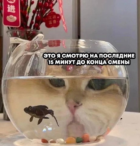 ЭТО Я СМОТРЮ НА ПОСЛЕДНИЕ 15 МИНУТ ДО КОНЦА СМЕНЫ у i