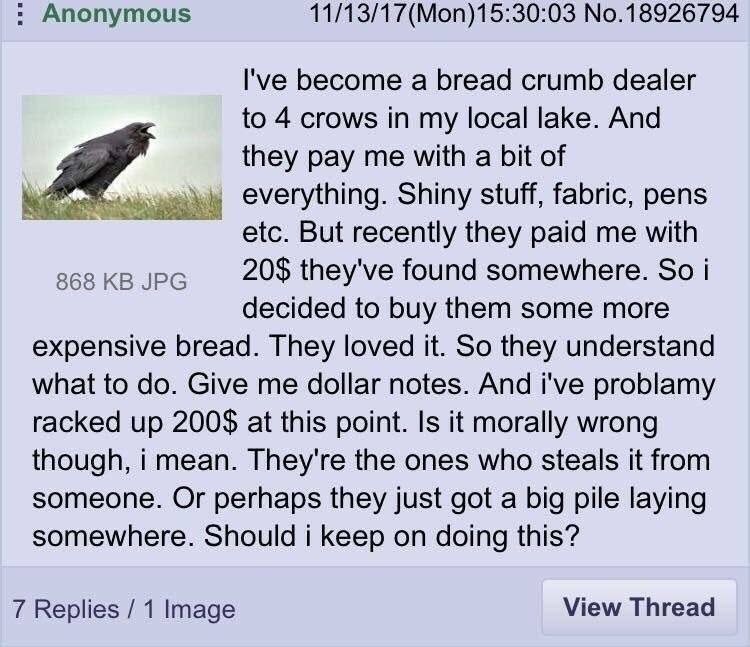 Anonymous 1/13/17(Mon)15:30:03 No.18926794 I've become a bread crumb dealer to 4 crows in my local lake. And they pay me with a bit of everything. Shiny stuff, fabric, pens etc. But recently they paid